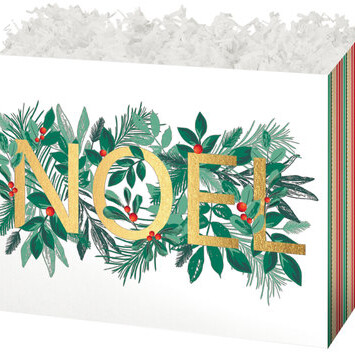 Folding Gift Box with the words noel on it
