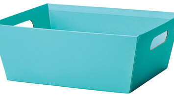 Robin's Egg Blue Market Tray